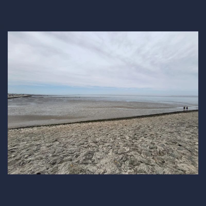 Image de sable et d’eau de la côte de la mer du Nord