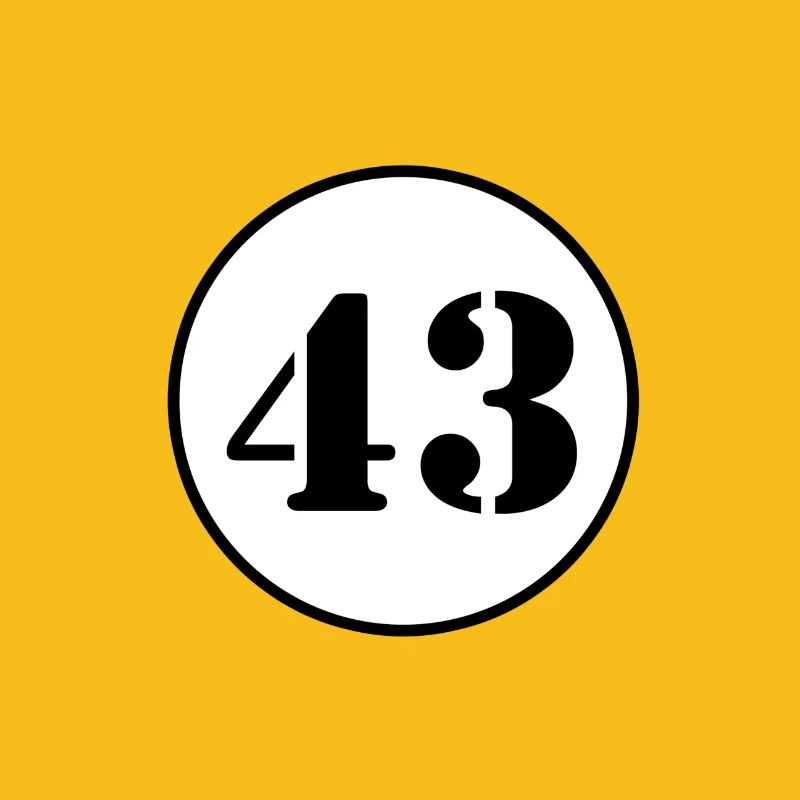 Numéro 43 quarante trois cadeau d'anniversaire