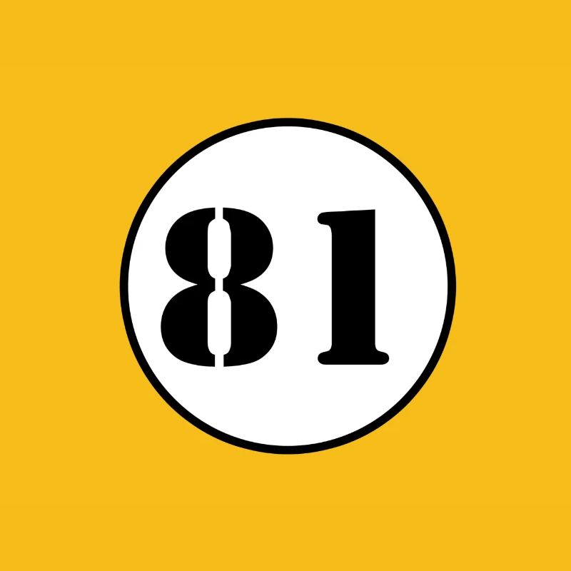 NUMBER 81 eighty one birthday gift