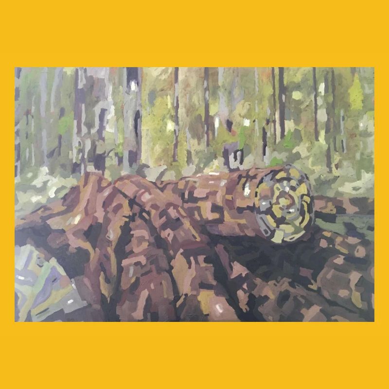 Logs in the forest – an impressionistic landscape
