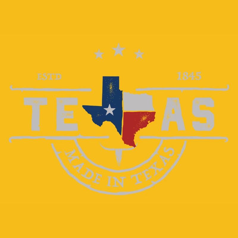 Texas Emblem Vintage State Pride
