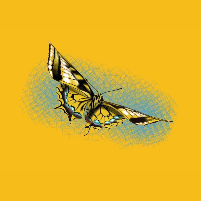 Yellow Butterfly Blue Accent