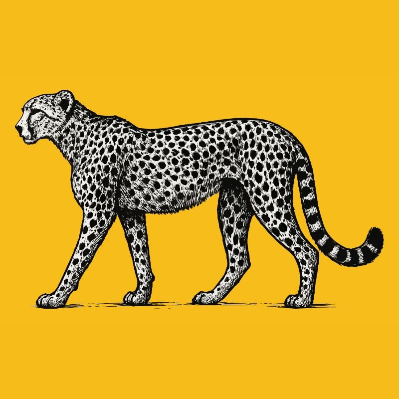 Black and White Leopard Pattern