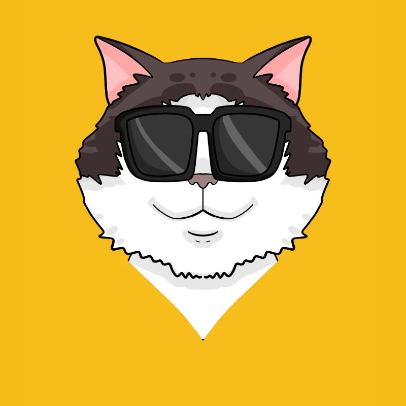 Ragdoll Katze mit Brille - coole Katze