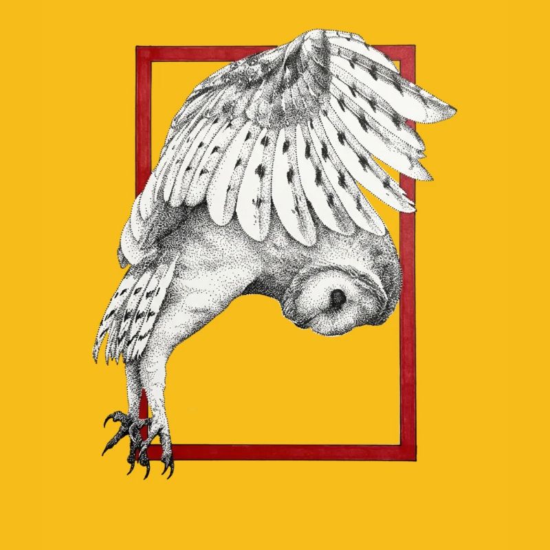 Owl with frame