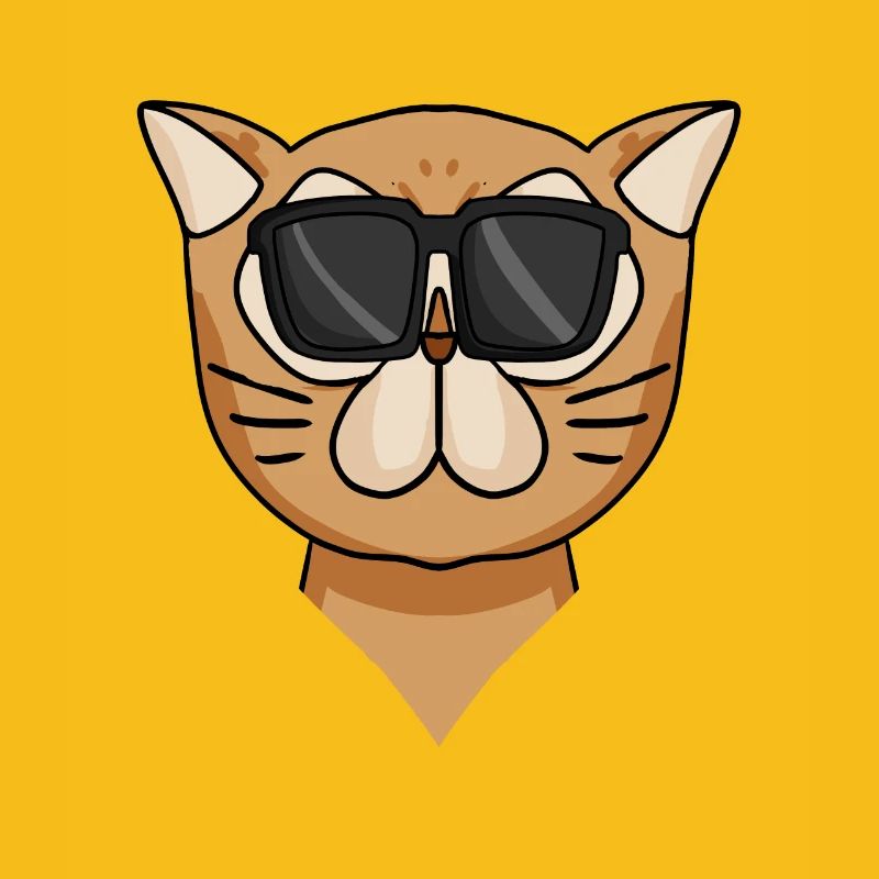 Cool Persian Cat Cat Cat