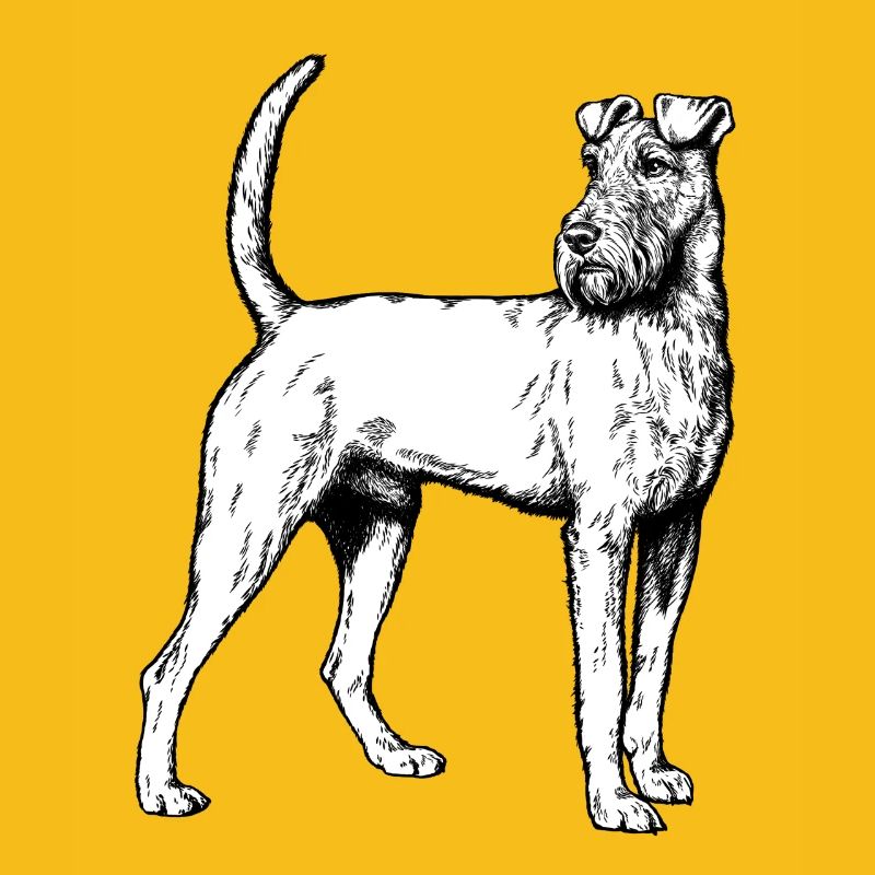 Irish Terrier Mailo 2023 sw