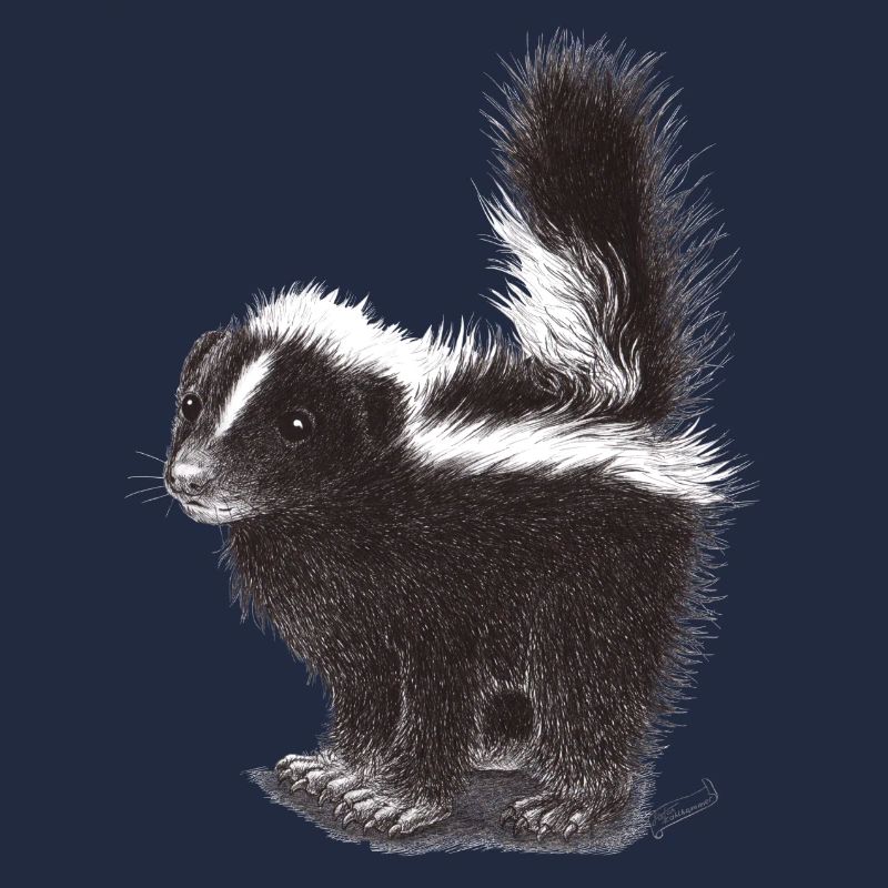 Mouffette cool mignonne
