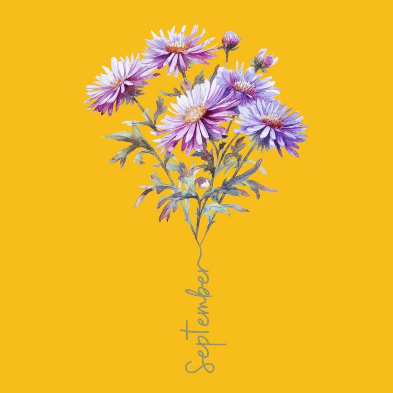 Bouquet de gâteau d’aster fleur de septembre