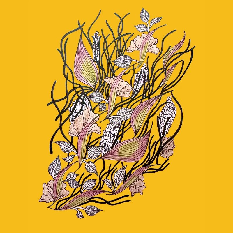 Florale Netze der Ranunkeln