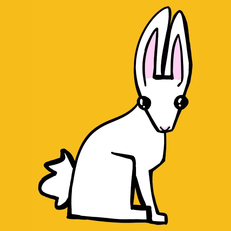 Lapin blanc