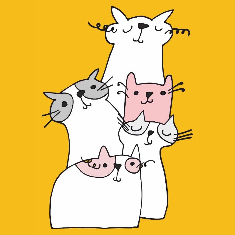 Rencontrez des chats