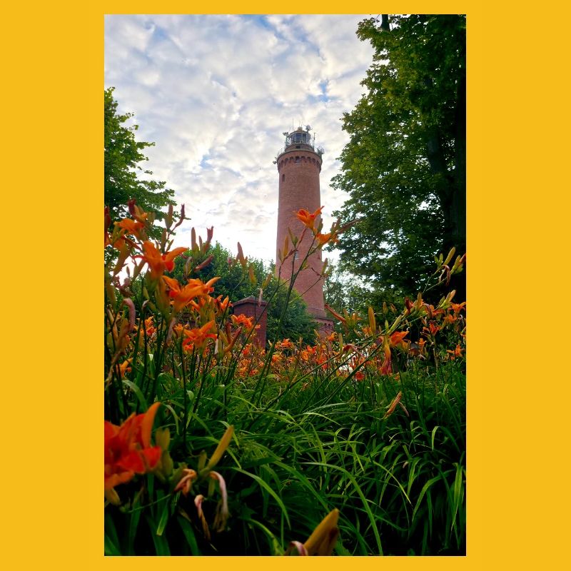 Phare de Gąski, phare, fleurs