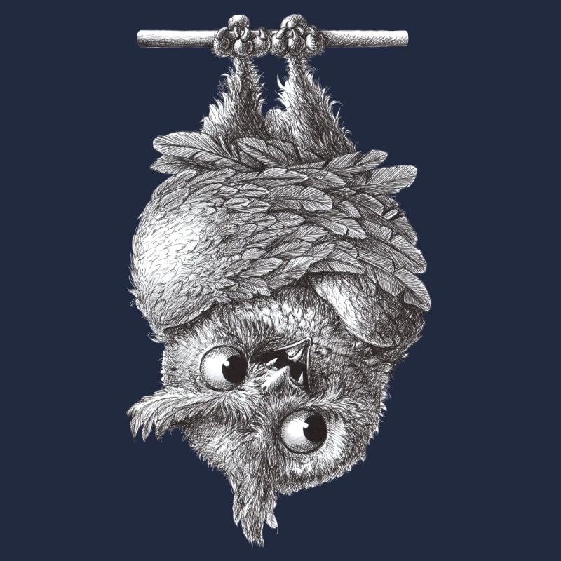 Vampir Eule - Dracula Eule