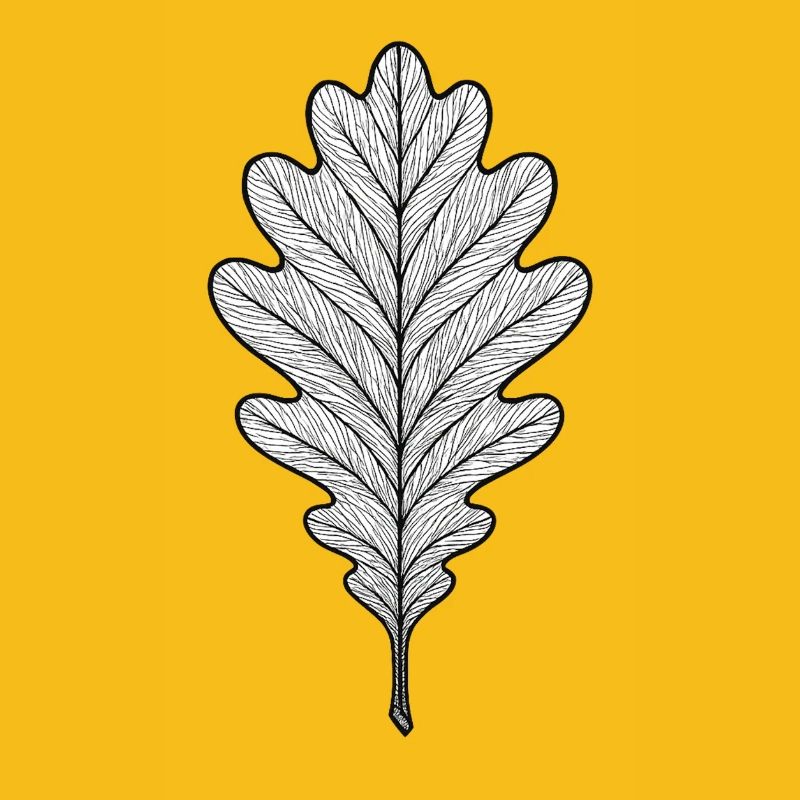 Monochromes Eichenblatt-Design