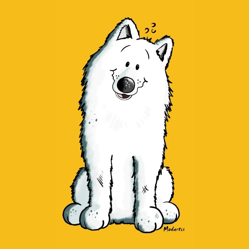 Mignon Samoyède Chien