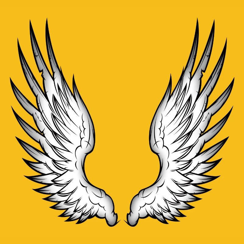 ailes d'ange