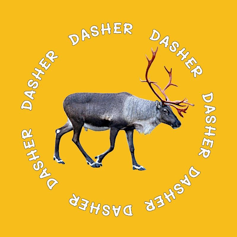 DASHER
