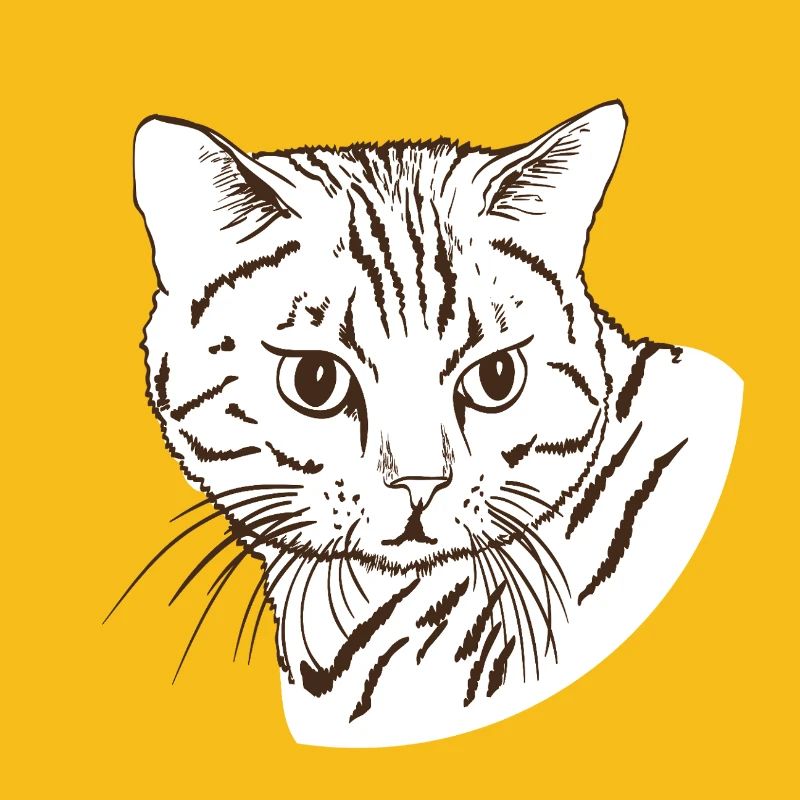Katze