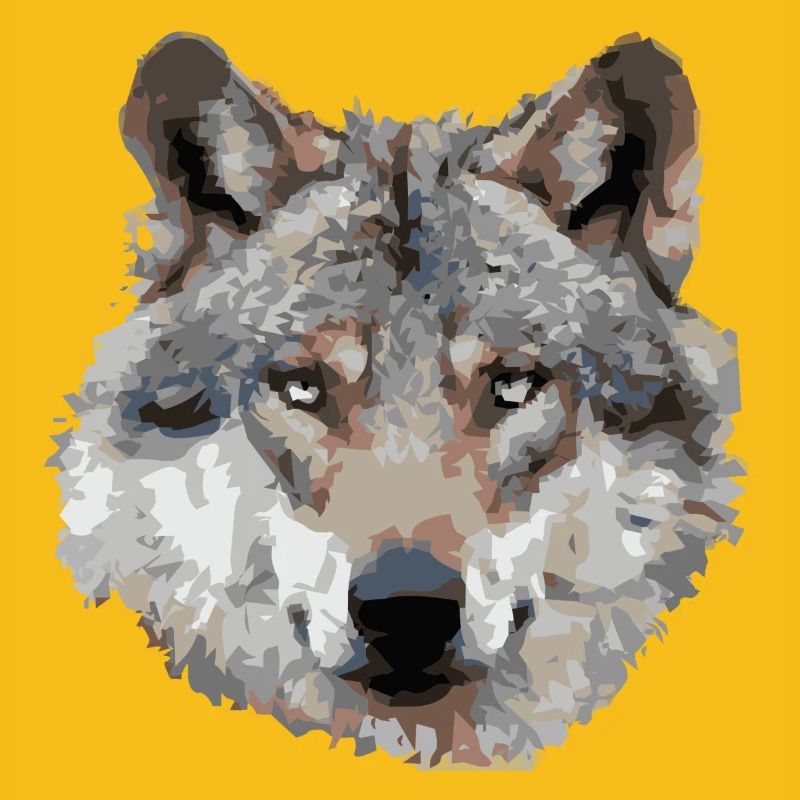 Wolf (grau)