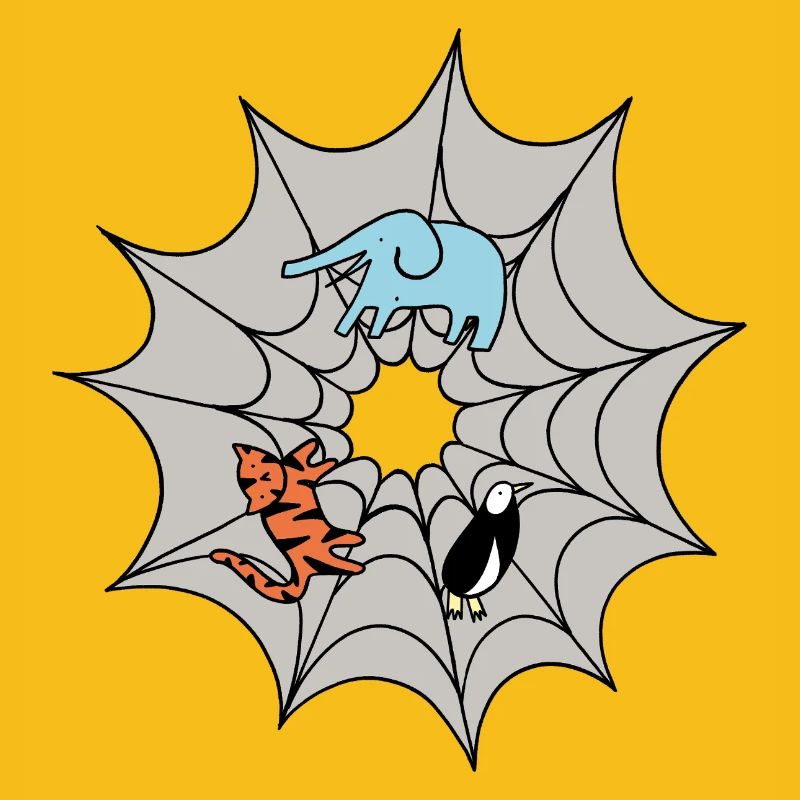 Spider web