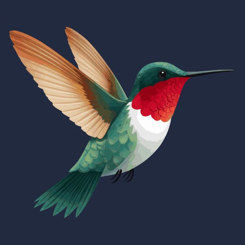 Kolibri