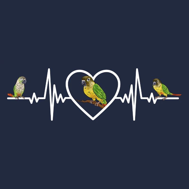 Molinasittich Papagei Vogel Sittich