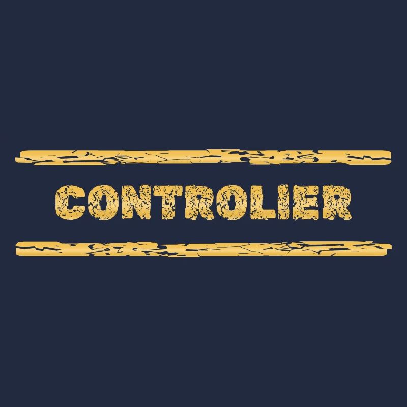 Beruf Controller