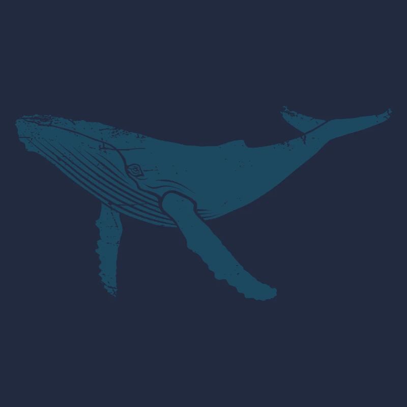 Wal - Buckelwal - Meeressäuger - Geschenk