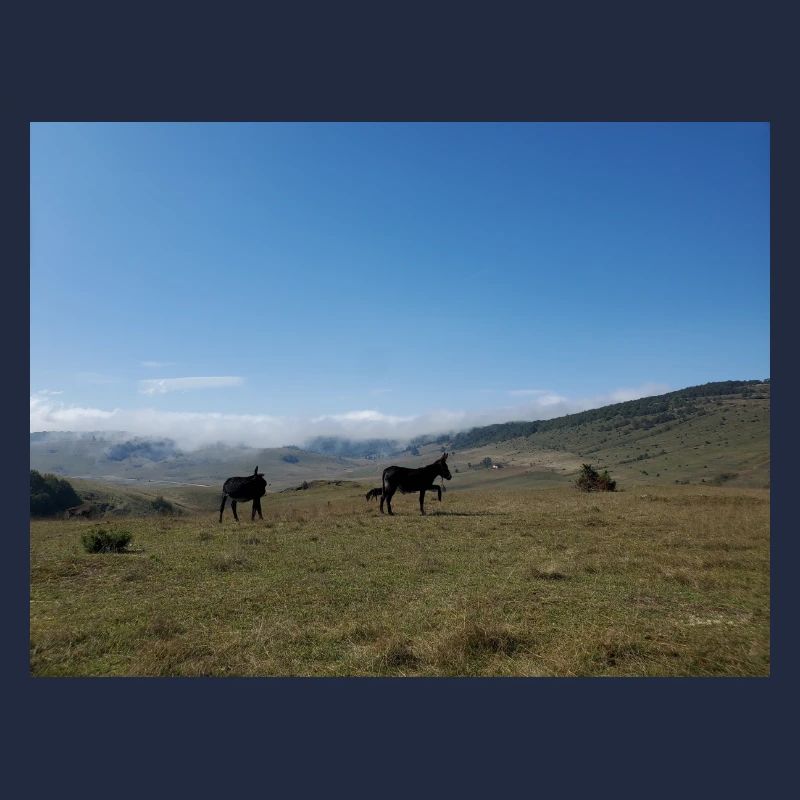 Ânes, Montagnes, Prairies
