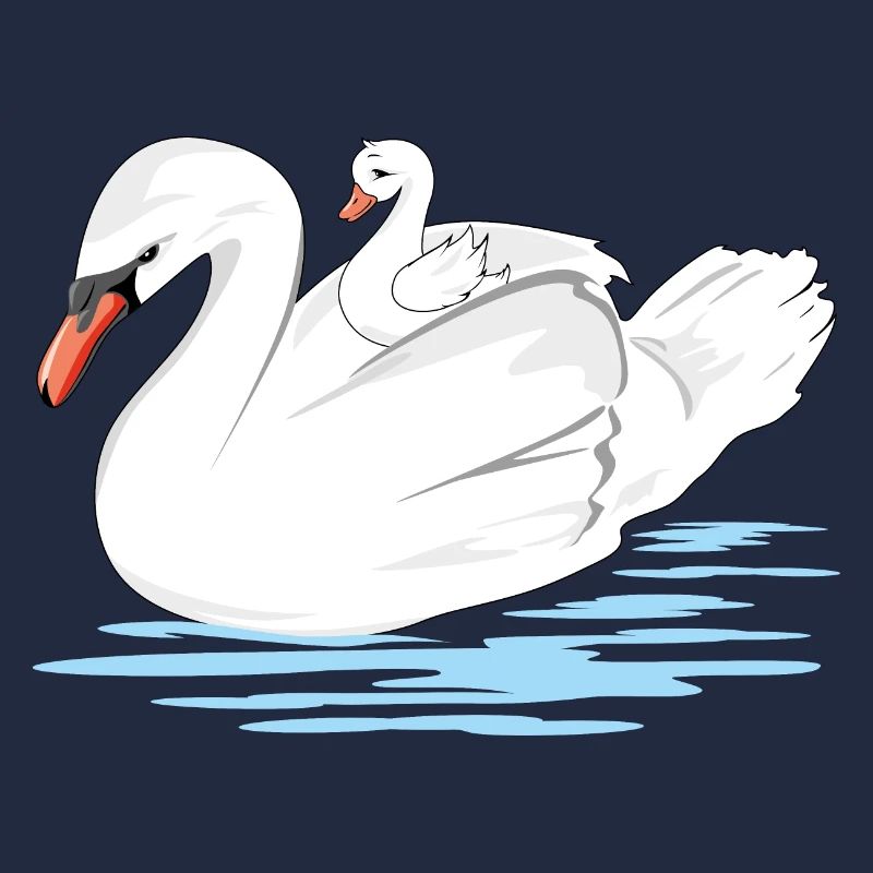 Une maman cygne blanc et son bébé