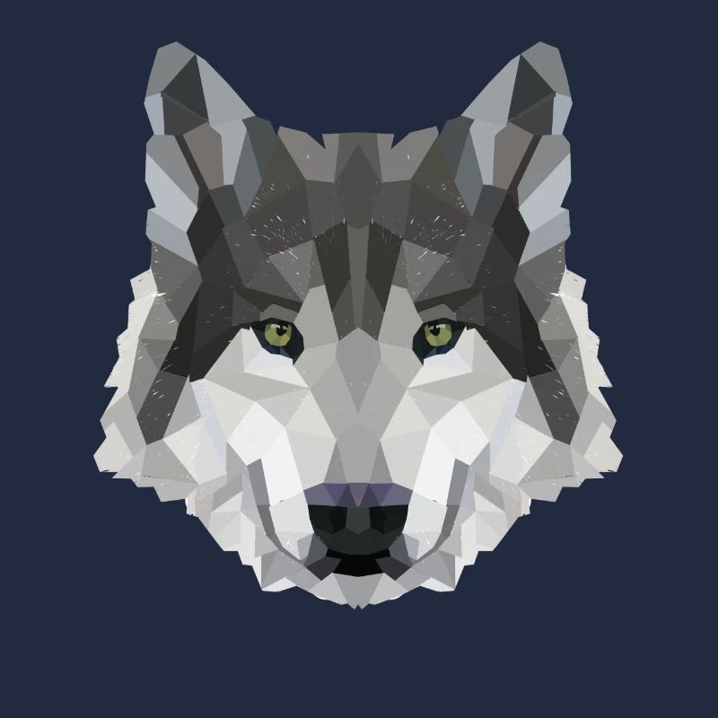 POLYGON WOLF Husky Wolves Wildlife America