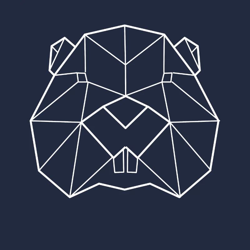 Biber Polygon