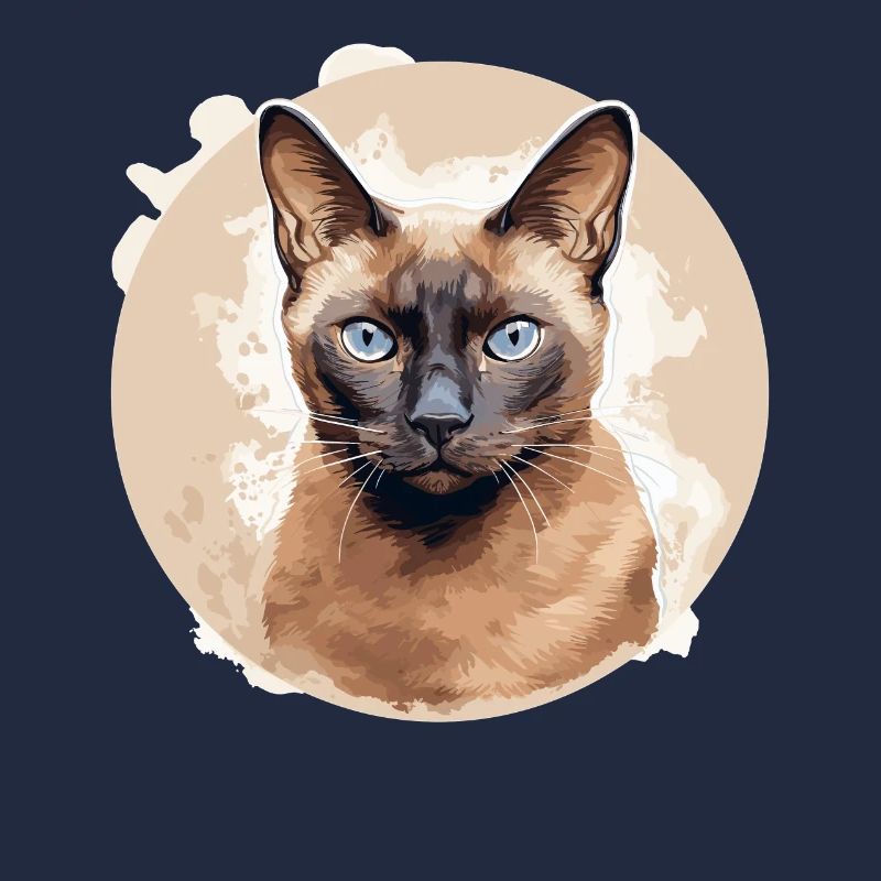 Chat birman Birmanie Katze