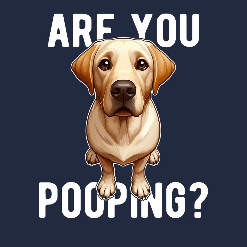 Faites-vous caca ? Drôle de chien labrador