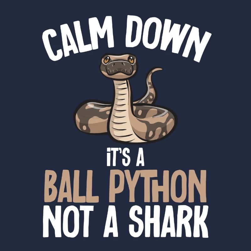 Ball Python Schlange Königspython