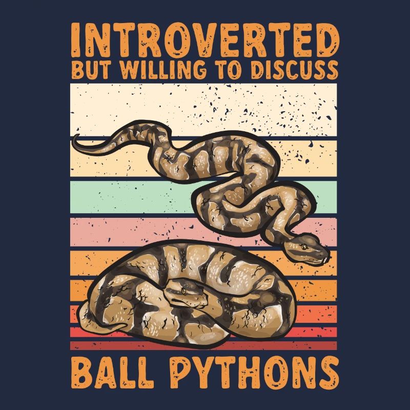 Ball Python Schlange Königspython