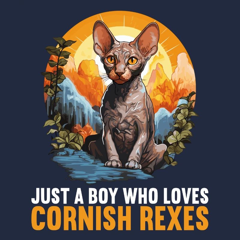 Cornish Rex Kätzchen Cornish Rex Katze