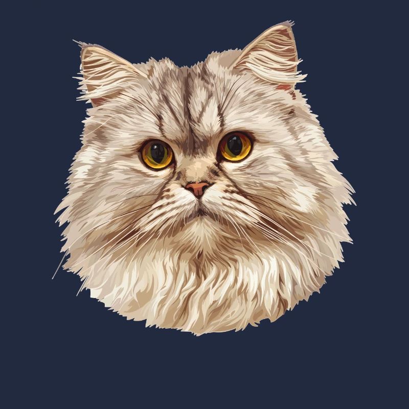 Ragamuffin Kätzchen Ragamuffin Katze