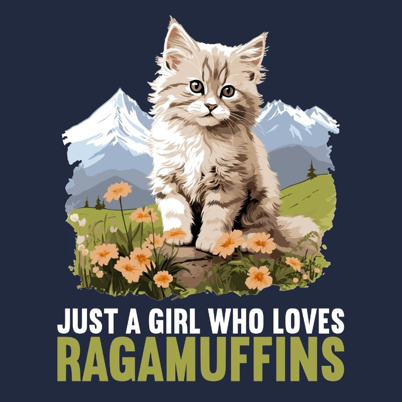Ragamuffin Kätzchen Ragamuffin Katze