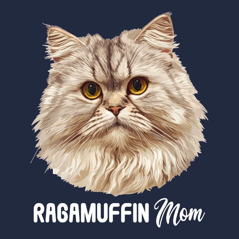Ragamuffin Kätzchen Ragamuffin Katze