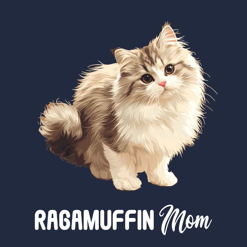 Ragamuffin Kätzchen Ragamuffin Katze