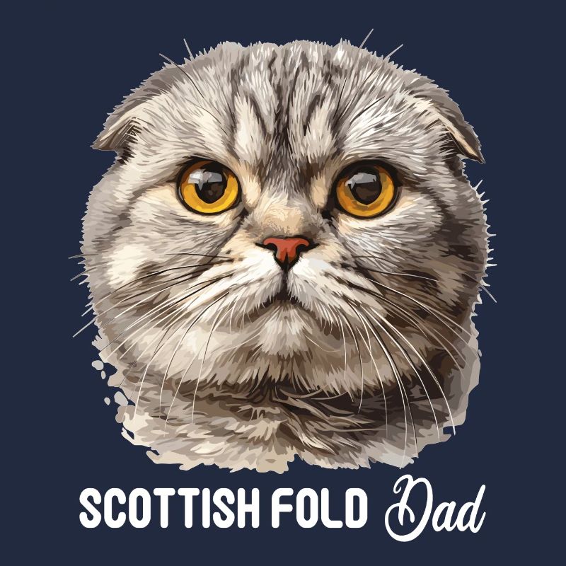 Scottish Fold Kätzchen Scottish Fold Katze