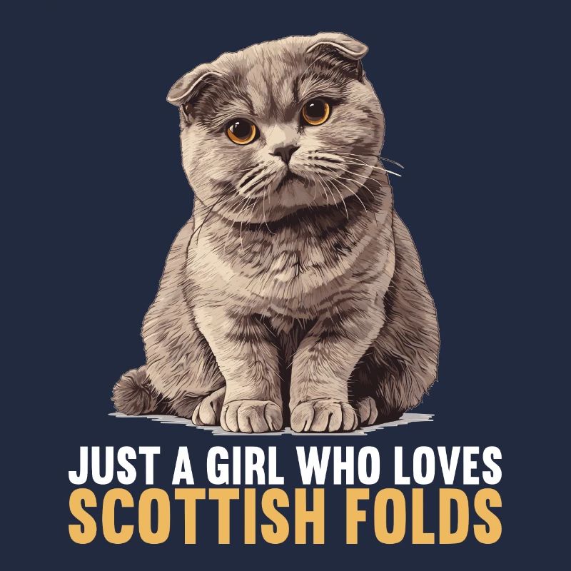 Scottish Fold Kätzchen Scottish Fold Katze