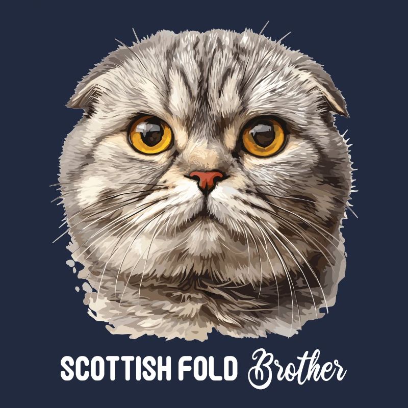 Scottish Fold Kätzchen Scottish Fold Katze