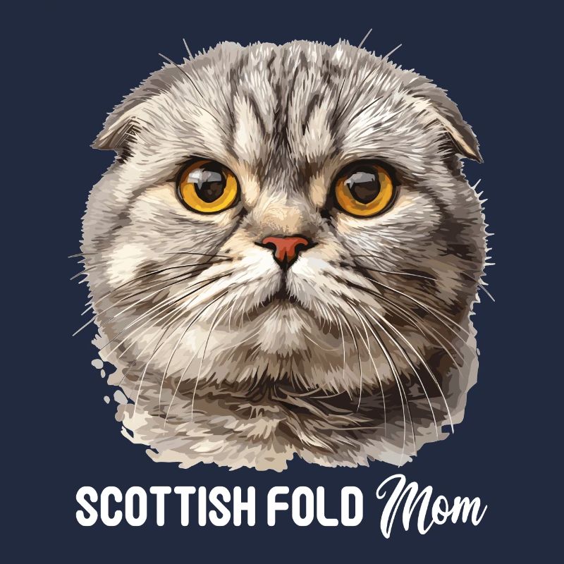 Scottish Fold Kätzchen Scottish Fold Katze