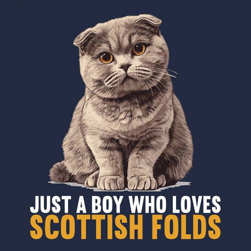 Scottish Fold Kätzchen Scottish Fold Katze