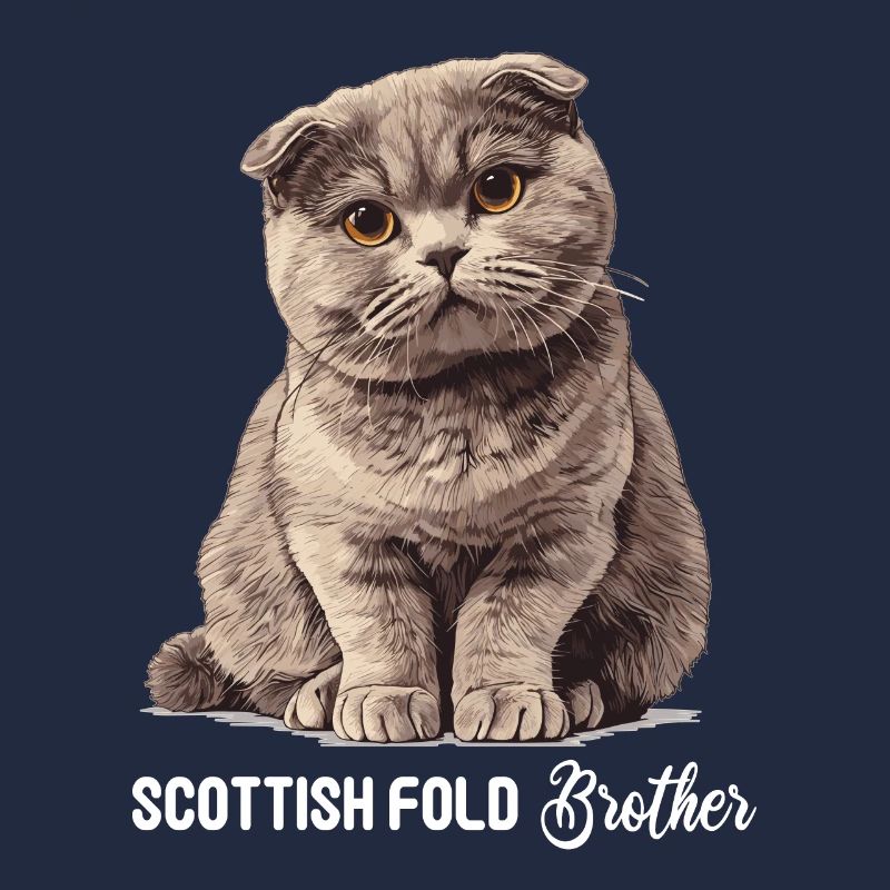 Scottish Fold Kätzchen Scottish Fold Katze