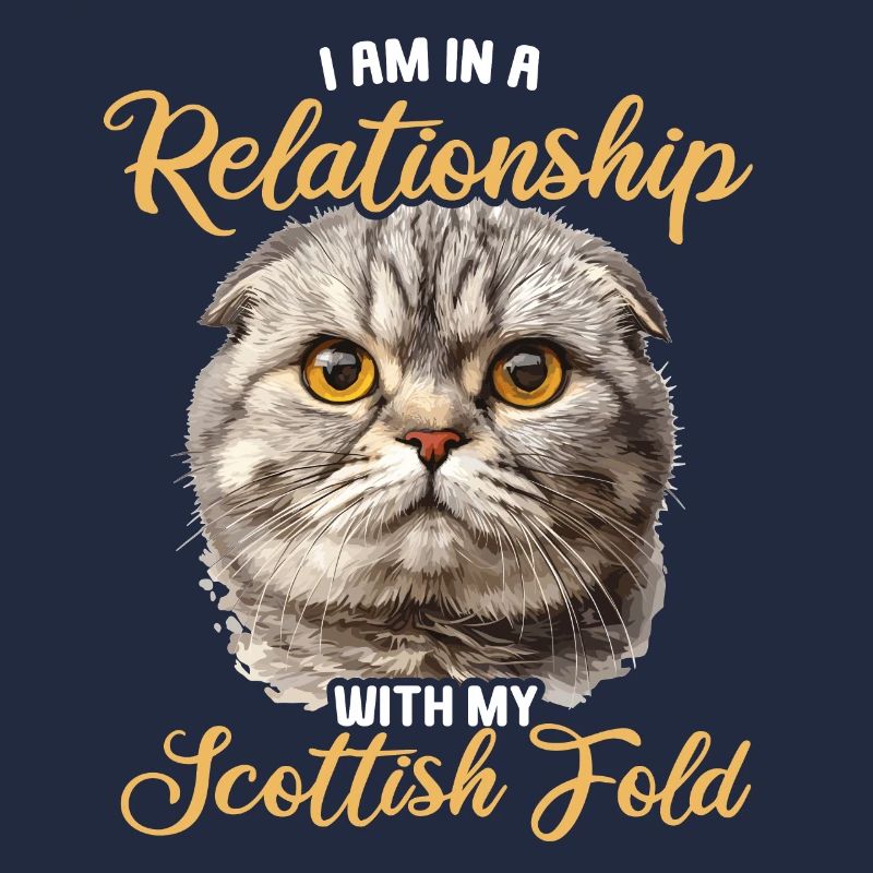 Scottish Fold Kätzchen Scottish Fold Katze
