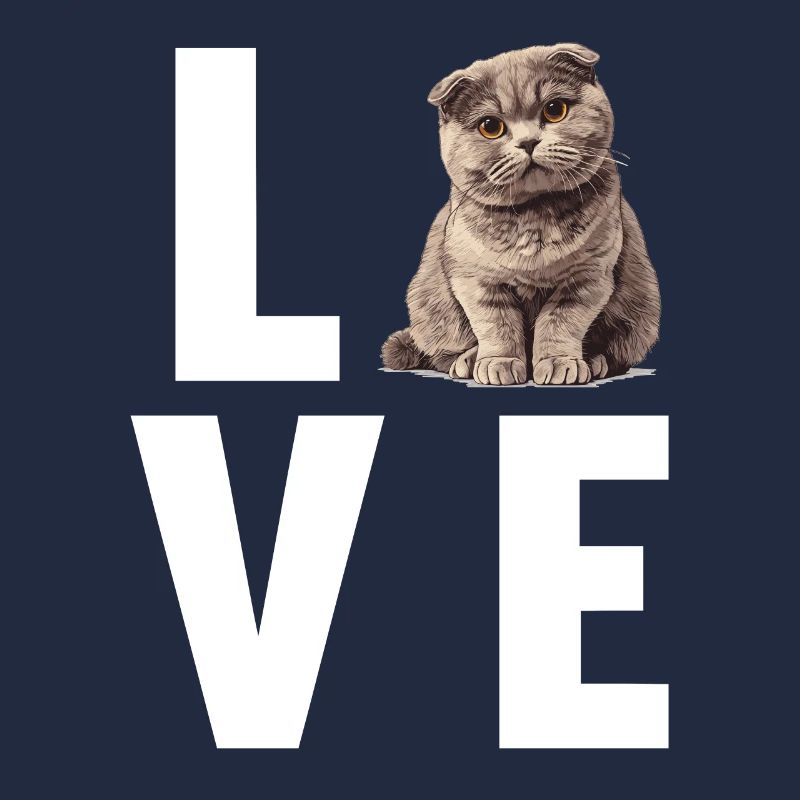 Scottish Fold Kätzchen Scottish Fold Katze